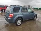 2012 Ford Escape XLS