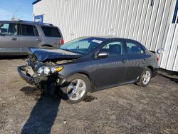 Toyota Corolla salvage cars for sale: 2011 Toyota Corolla Base