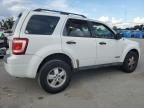 2008 Ford Escape XLT