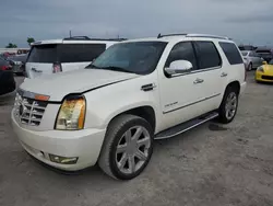 Salvage cars for sale at Riverview, FL auction: 2007 Cadillac Escalade Luxury