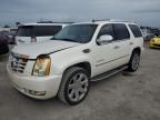 2007 Cadillac Escalade Luxury