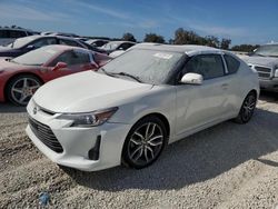 Carros salvage para piezas a la venta en subasta: 2015 Scion TC