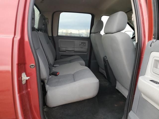 2008 Dodge Dakota SXT