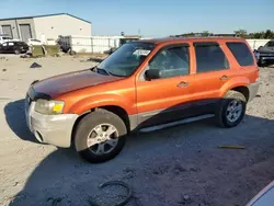 Ford salvage cars for sale: 2006 Ford Escape XLT