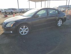 Nissan Vehiculos salvage en venta: 2004 Nissan Maxima SE