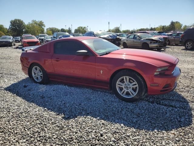 2013 Ford Mustang