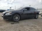 2010 Nissan Maxima S