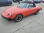 1975 Alfa Romeo Spider