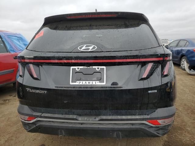 2022 Hyundai Tucson SEL