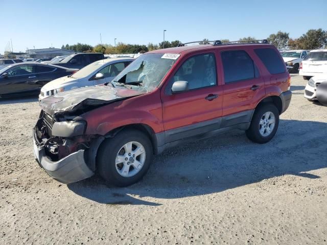 2006 Ford Escape XLT