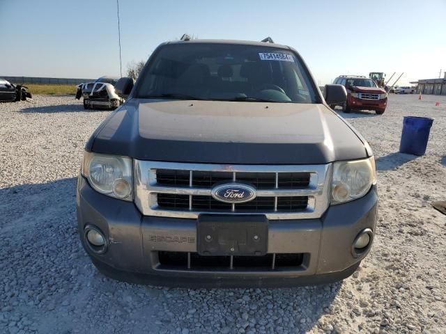 2012 Ford Escape XLT