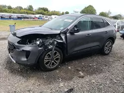 2020 Ford Escape SEL en venta en Hillsborough, NJ