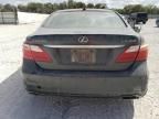 2010 Lexus LS 460