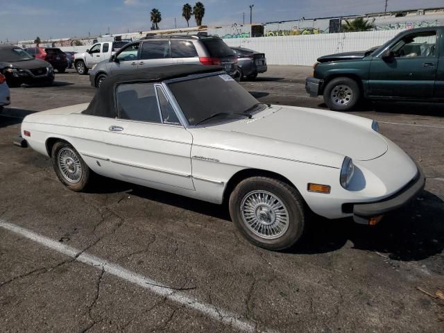 1979 Alfa Romeo Spider