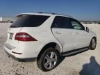 2014 Mercedes-Benz ML 350