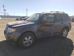 Salvage cars for sale at Greenwood, NE auction: 2011 Ford Escape XLT