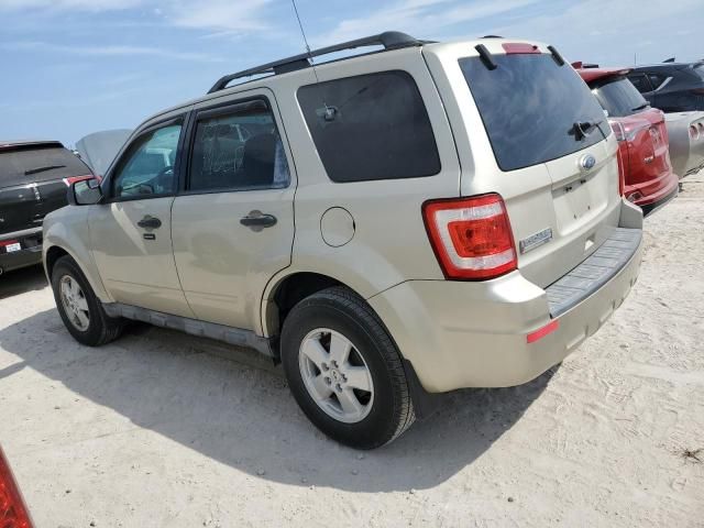 2010 Ford Escape XLT