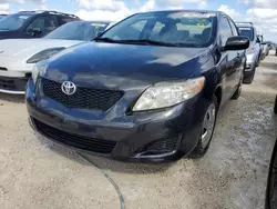 Toyota Vehiculos salvage en venta: 2010 Toyota Corolla Base