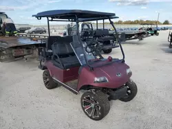 2023 Hdkp Golf Cart en venta en Arcadia, FL