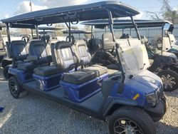 2024 Aspt Golf Cart en venta en Arcadia, FL