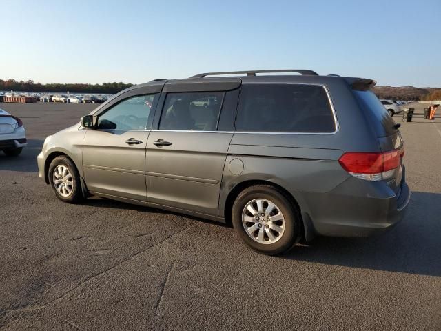 2008 Honda Odyssey EXL