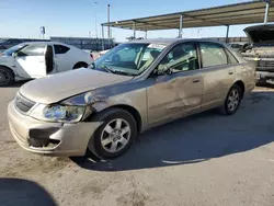 2002 Toyota Avalon XL en venta en Anthony, TX