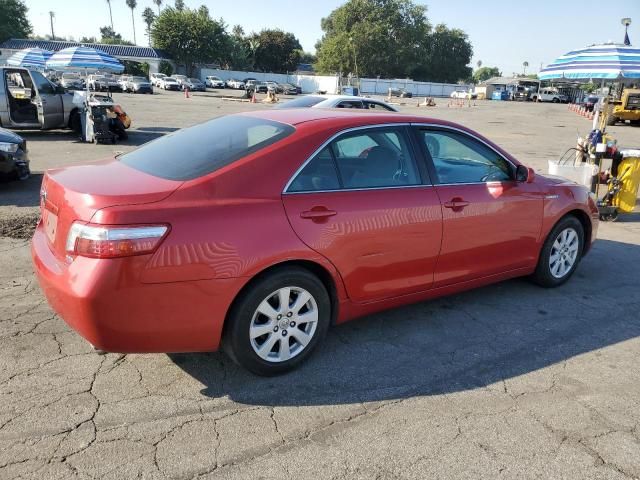 2009 Toyota Camry Hybrid