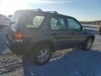 2003 Ford Escape XLS