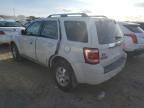 2010 Ford Escape Limited