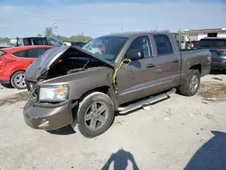 Salvage cars for sale at Indianapolis, IN auction: 2010 Dodge Dakota Laramie