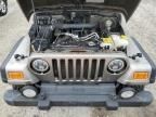 2003 Jeep Wrangler / TJ Sport