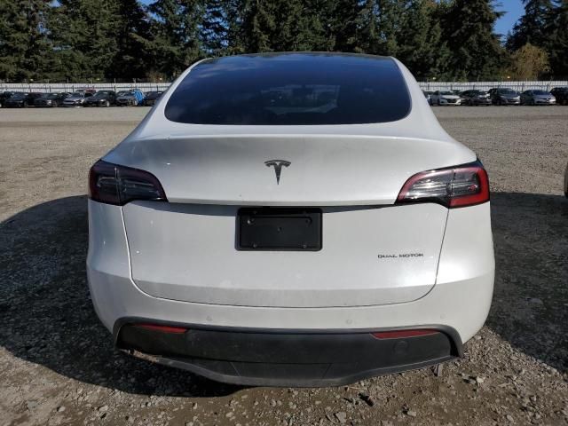 2021 Tesla Model Y