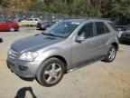 2008 Mercedes-Benz ML 350