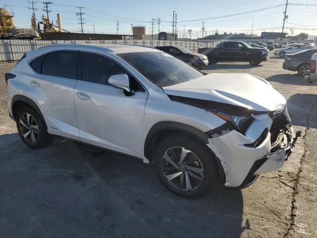 2019 Lexus NX 300H