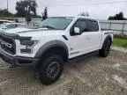 2019 Ford F150 Raptor