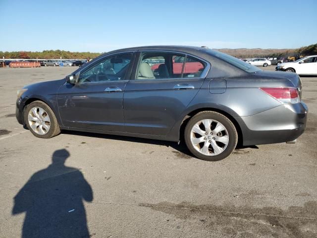 2008 Honda Accord EXL