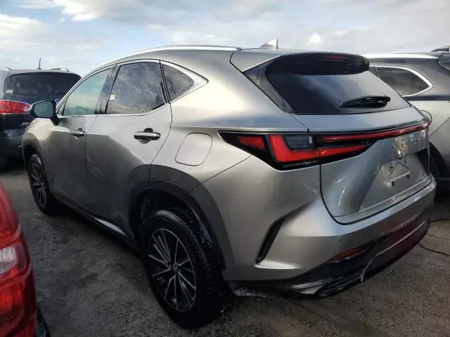 2022 Lexus NX 350