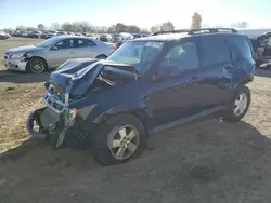 Salvage cars for sale at Davison, MI auction: 2012 Ford Escape XLT