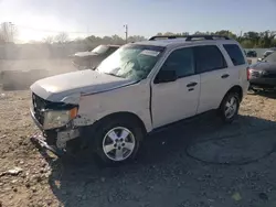 Ford salvage cars for sale: 2009 Ford Escape XLT