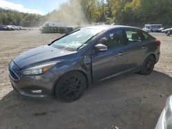 Ford salvage cars for sale: 2016 Ford Focus SE