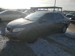 2010 Toyota Corolla Base en venta en West Palm Beach, FL