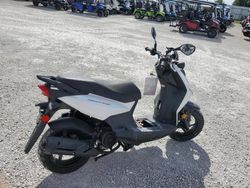 Salvage motorcycles for sale at Arcadia, FL auction: 2024 Sany Lancer