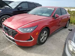 Flood-damaged cars for sale at auction: 2020 Hyundai Sonata SE