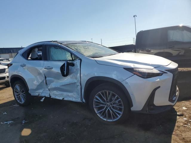 2024 Lexus NX 350H Base