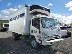 Salvage trucks for sale at Marlboro, NY auction: 2023 Isuzu NRR