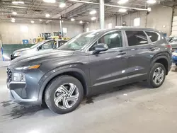 Salvage cars for sale at Blaine, MN auction: 2023 Hyundai Santa FE SE