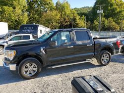 Salvage cars for sale at Hurricane, WV auction: 2023 Ford F150 Supercrew