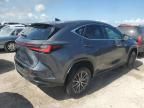 2024 Lexus NX 250 Premium