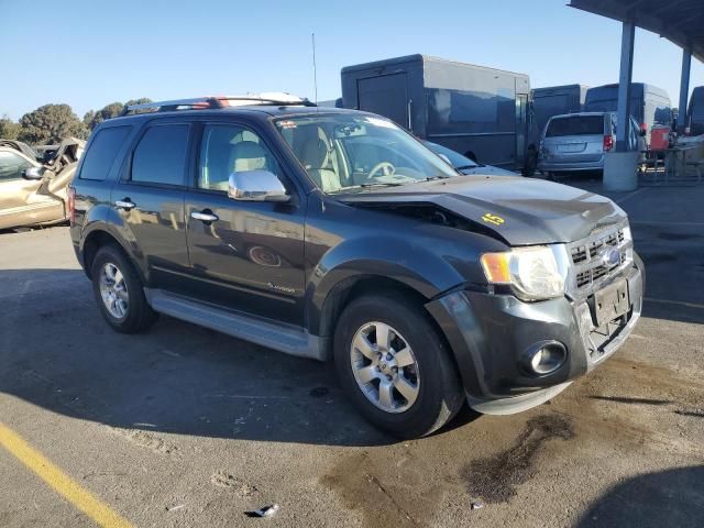 2009 Ford Escape Hybrid