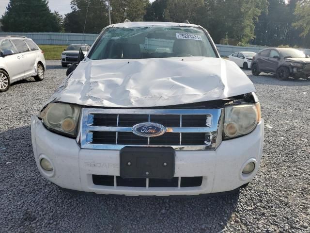 2008 Ford Escape HEV